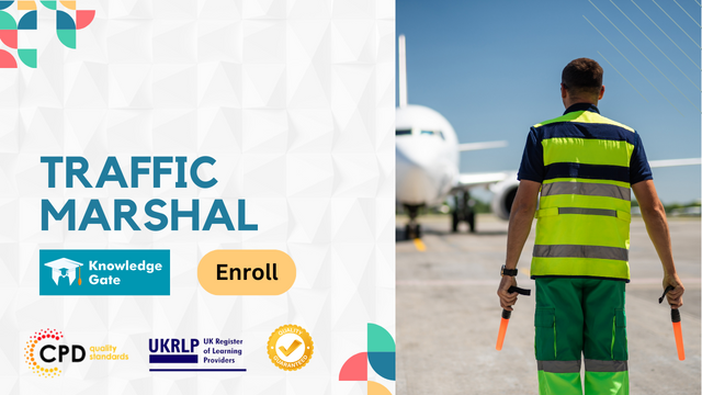 Traffic Marshal