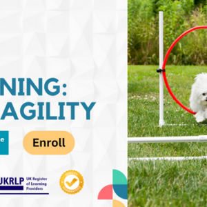 Dog Training: Dog Agility