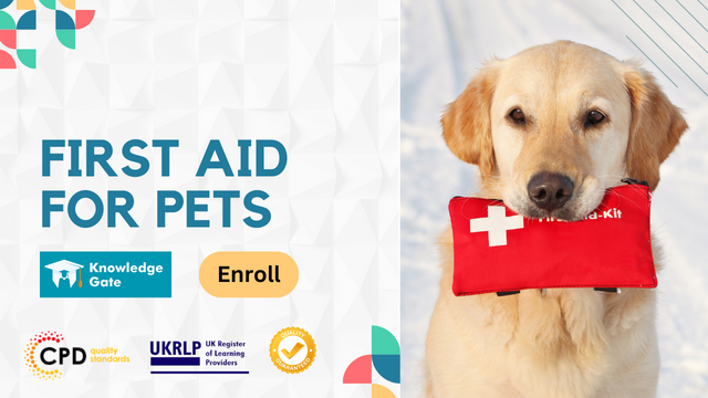 First Aid for Pets