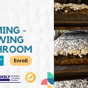 Farming - Growing Mushroom