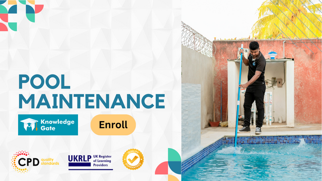 Pool Maintenance