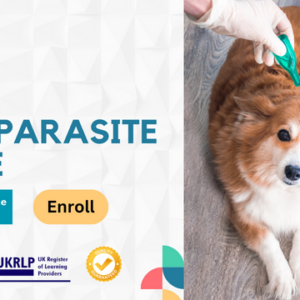 Dog Parasite Care
