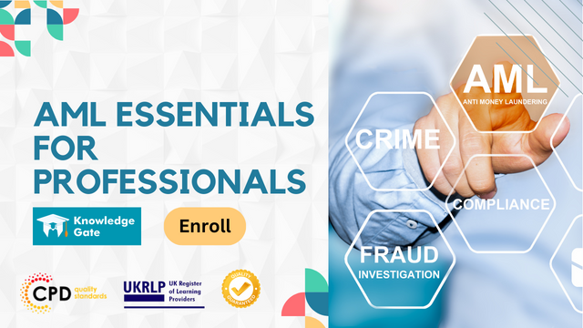 AML Essentials for Professionals