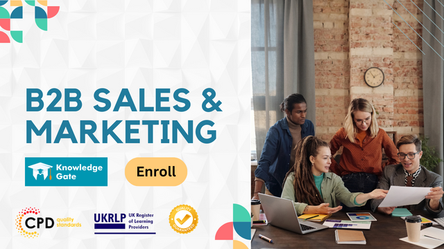 B2B Sales & Marketing
