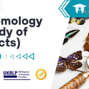 Entomology (Study of Insects)