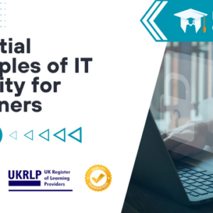 Essential Principles of IT Security for Beginners