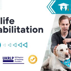Wildlife Rehabilitation